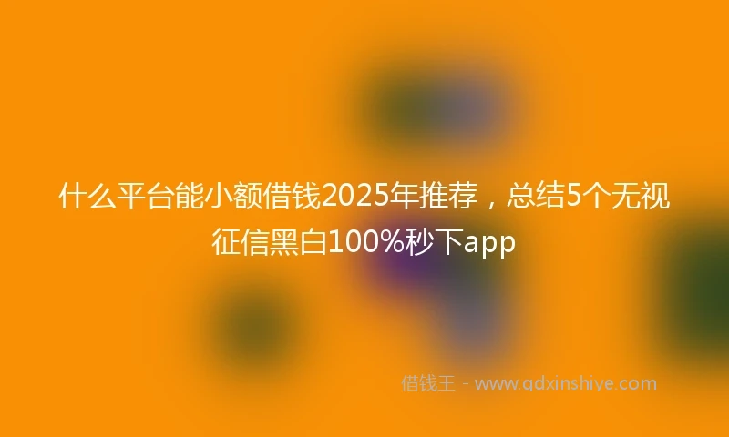 什么平台能小额借钱2025年推荐，总结5个无视征信黑白100%秒下app