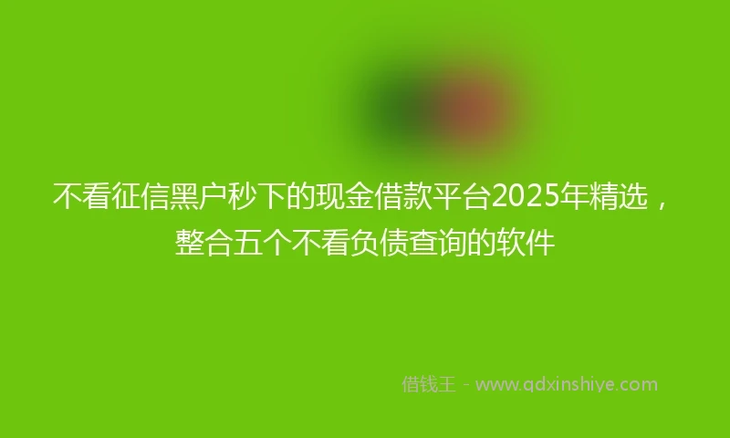 不看征信黑户秒下的现金借款平台2025年精选，整合五个不看负债查询的软件