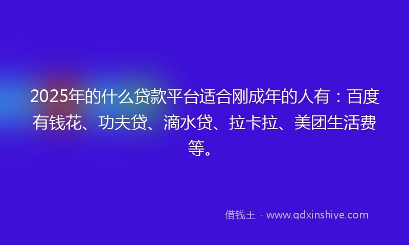 2025年的什么贷款平台适合刚成年的人有：百度有钱花、功夫贷、滴水贷、拉卡拉、美团生活费等。