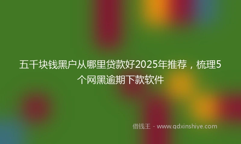 五千块钱黑户从哪里贷款好2025年推荐，梳理5个网黑逾期下款软件