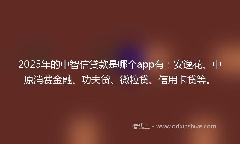 2025年的中智信贷款是哪个app有：安逸花、中原消费金融、功夫贷、微粒贷、信用卡贷等。