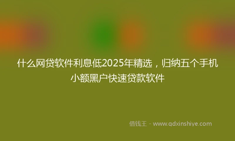什么网贷软件利息低2025年精选，归纳五个手机小额黑户快速贷款软件