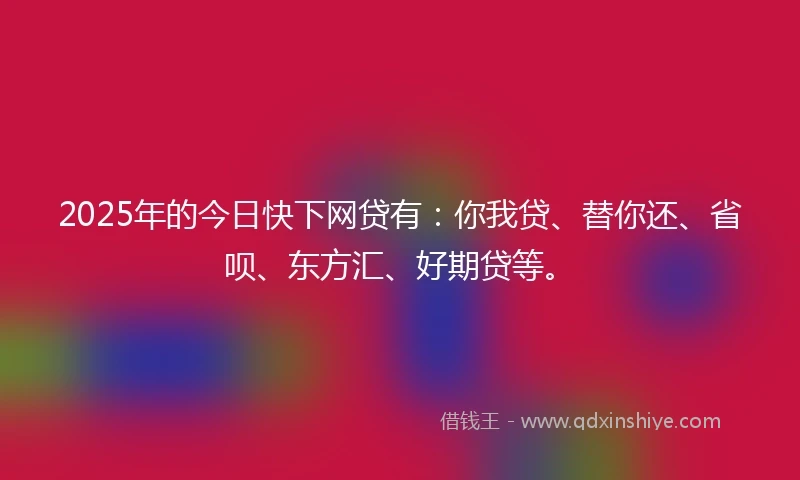 2025年的今日快下网贷有：你我贷、替你还、省呗、东方汇、好期贷等。
