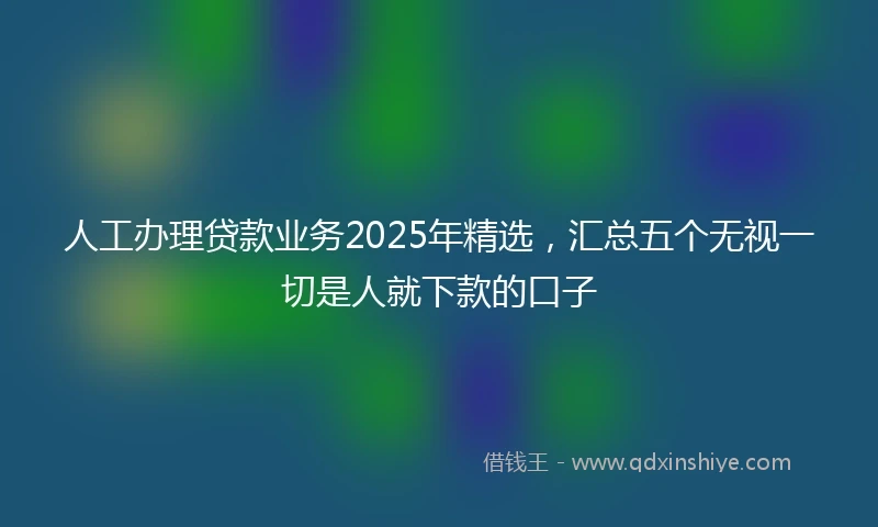 人工办理贷款业务2025年精选，汇总五个无视一切是人就下款的口子