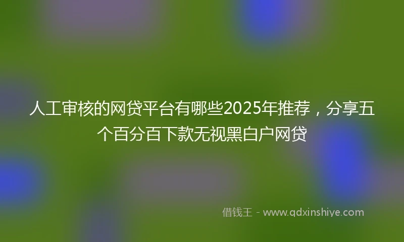 人工审核的网贷平台有哪些2025年推荐，分享五个百分百下款无视黑白户网贷