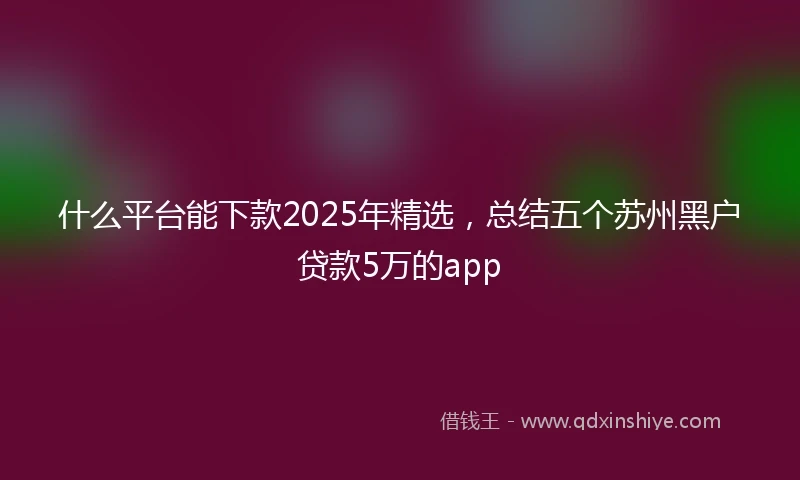 什么平台能下款2025年精选，总结五个苏州黑户贷款5万的app