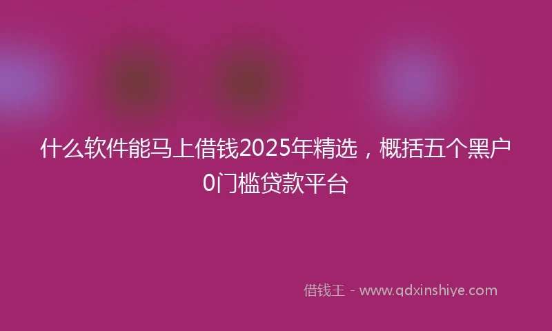 什么软件能马上借钱2025年精选，概括五个黑户0门槛贷款平台