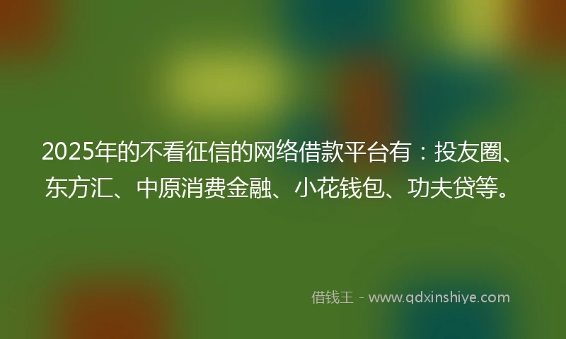 2025年的不看征信的网络借款平台有：投友圈、东方汇、中原消费金融、小花钱包、功夫贷等。