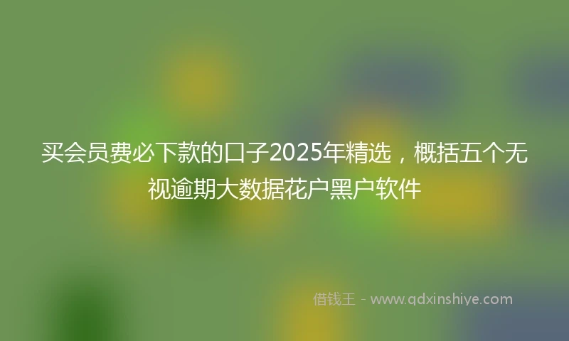 买会员费必下款的口子2025年精选，概括五个无视逾期大数据花户黑户软件