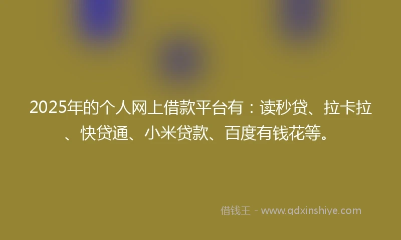 2025年的个人网上借款平台有：读秒贷、拉卡拉、快贷通、小米贷款、百度有钱花等。
