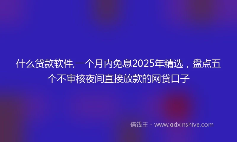 什么贷款软件,一个月内免息2025年精选，盘点五个不审核夜间直接放款的网贷口子