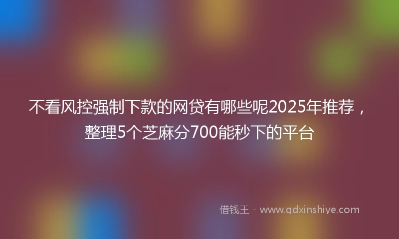 不看风控强制下款的网贷有哪些呢2025年推荐，整理5个芝麻分700能秒下的平台