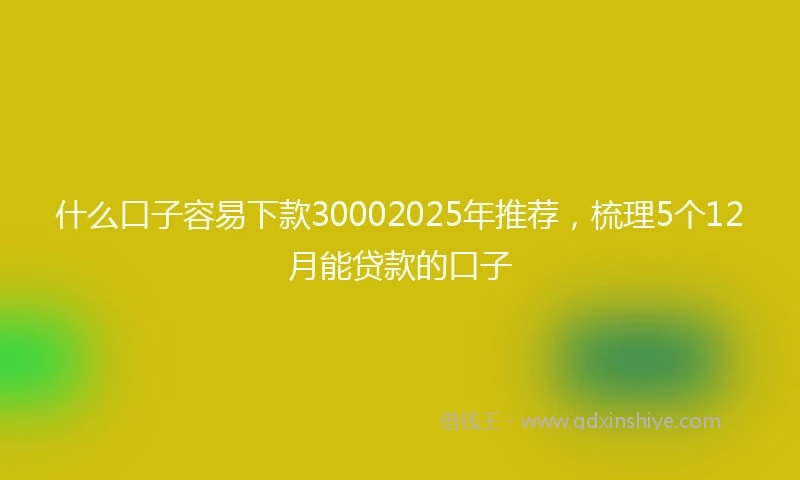 什么口子容易下款30002025年推荐，梳理5个12月能贷款的口子