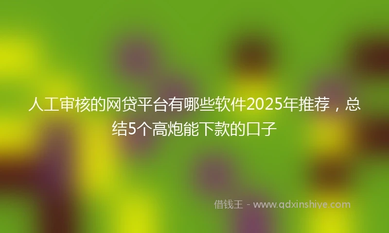 人工审核的网贷平台有哪些软件2025年推荐，总结5个高炮能下款的口子