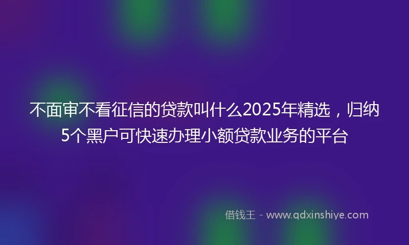 不面审不看征信的贷款叫什么2025年精选，归纳5个黑户可快速办理小额贷款业务的平台