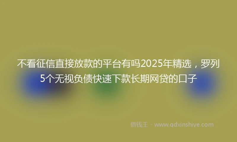 不看征信直接放款的平台有吗2025年精选，罗列5个无视负债快速下款长期网贷的口子