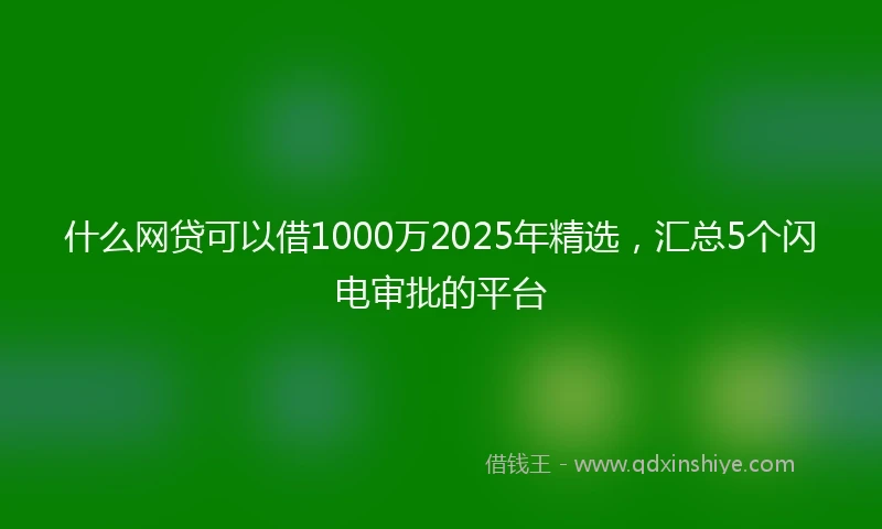 什么网贷可以借1000万2025年精选，汇总5个闪电审批的平台