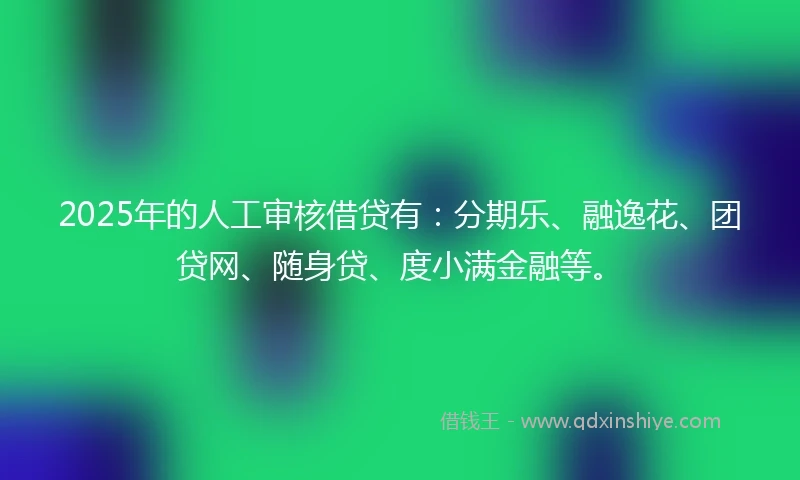 2025年的人工审核借贷有：分期乐、融逸花、团贷网、随身贷、度小满金融等。