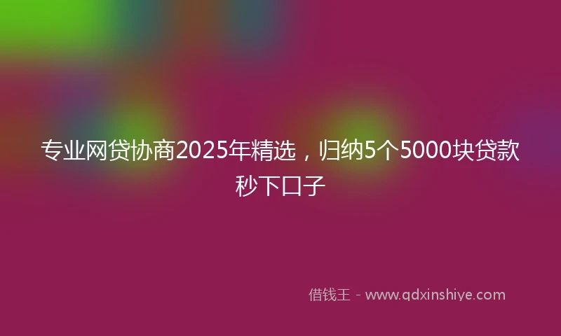 专业网贷协商2025年精选，归纳5个5000块贷款秒下口子