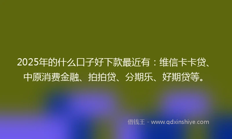 2025年的什么口子好下款最近有：维信卡卡贷、中原消费金融、拍拍贷、分期乐、好期贷等。