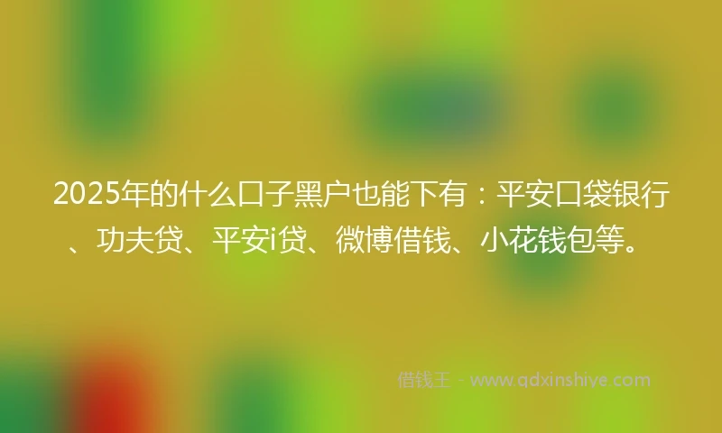2025年的什么口子黑户也能下有：平安口袋银行、功夫贷、平安i贷、微博借钱、小花钱包等。