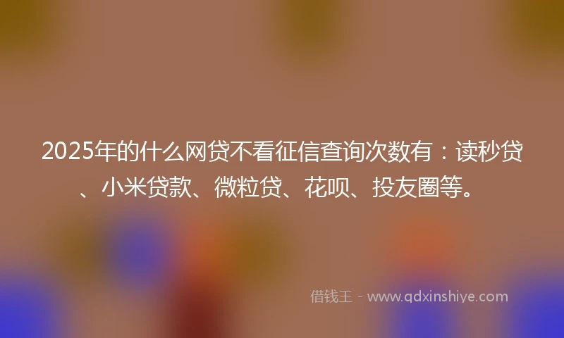 2025年的什么网贷不看征信查询次数有：读秒贷、小米贷款、微粒贷、花呗、投友圈等。