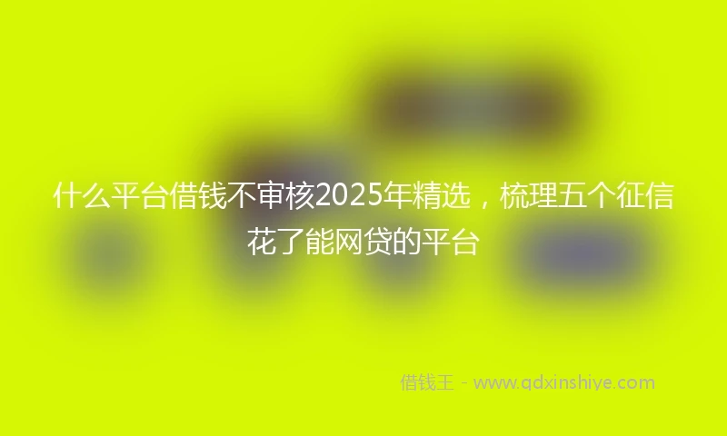 什么平台借钱不审核2025年精选，梳理五个征信花了能网贷的平台
