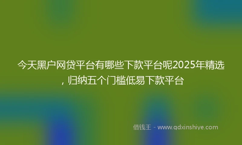 今天黑户网贷平台有哪些下款平台呢2025年精选，归纳五个门槛低易下款平台