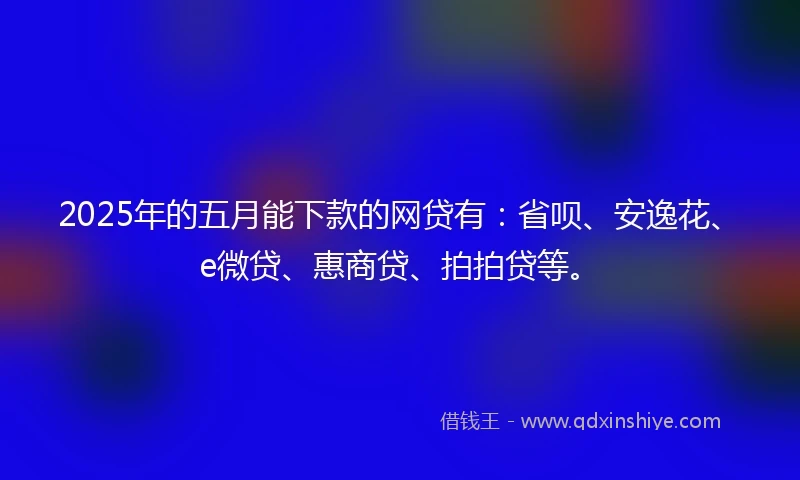 2025年的五月能下款的网贷有：省呗、安逸花、e微贷、惠商贷、拍拍贷等。
