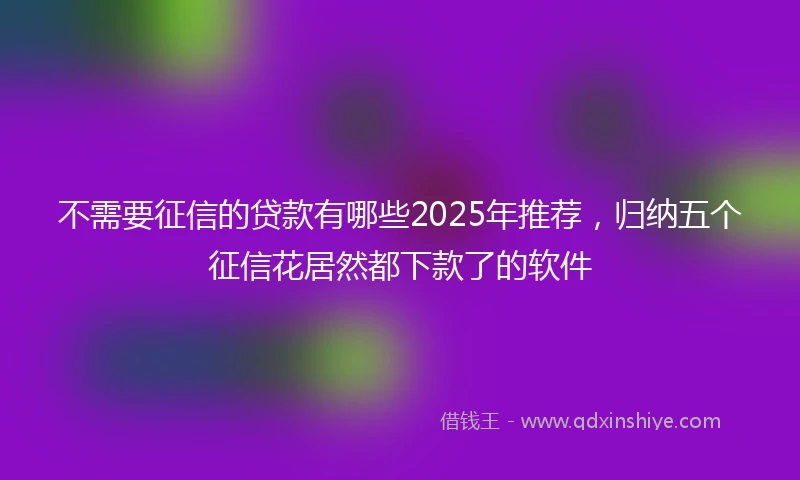 不需要征信的贷款有哪些2025年推荐，归纳五个征信花居然都下款了的软件