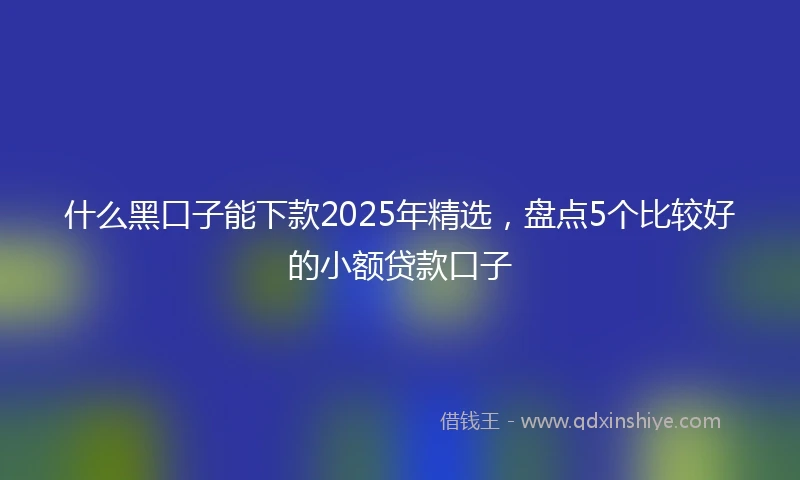 什么黑口子能下款2025年精选，盘点5个比较好的小额贷款口子