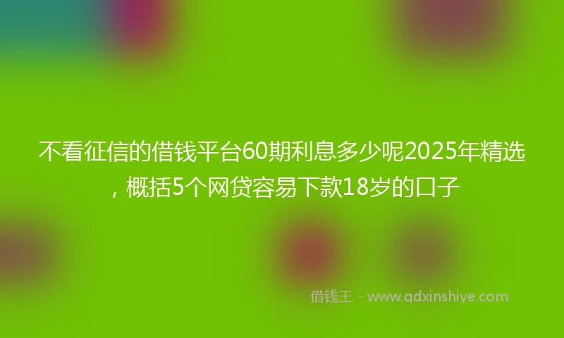 不看征信的借钱平台60期利息多少呢2025年精选，概括5个网贷容易下款18岁的口子