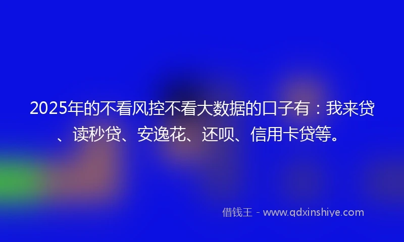 2025年的不看风控不看大数据的口子有：我来贷、读秒贷、安逸花、还呗、信用卡贷等。