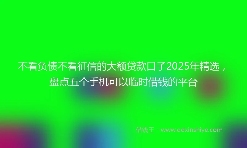 不看负债不看征信的大额贷款口子2025年精选，盘点五个手机可以临时借钱的平台