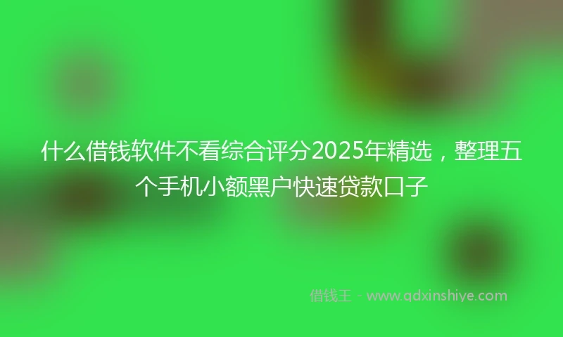 什么借钱软件不看综合评分2025年精选，整理五个手机小额黑户快速贷款口子