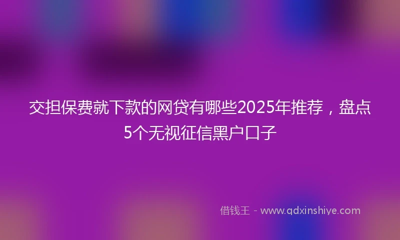交担保费就下款的网贷有哪些2025年推荐，盘点5个无视征信黑户口子