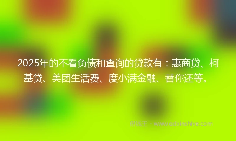 2025年的不看负债和查询的贷款有：惠商贷、柯基贷、美团生活费、度小满金融、替你还等。