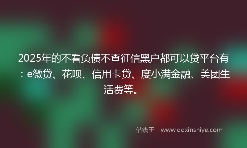 2025年的不看负债不查征信黑户都可以贷平台有：e微贷、花呗、信用卡贷、度小满金融、美团生活费等。