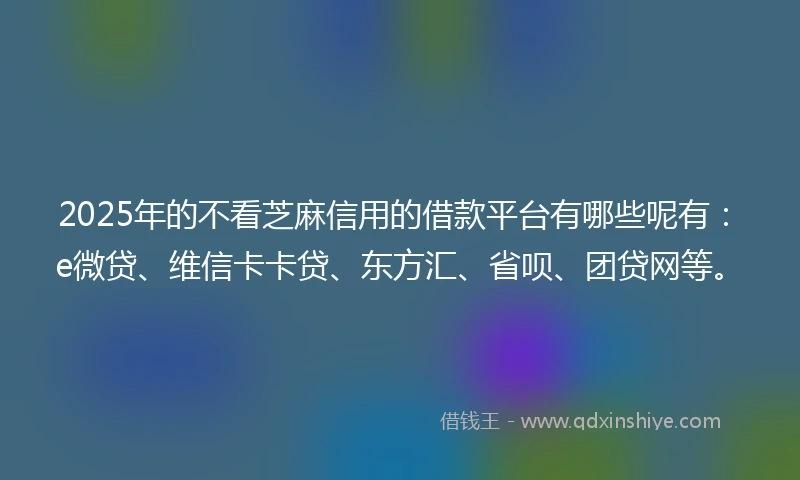 2025年的不看芝麻信用的借款平台有哪些呢有：e微贷、维信卡卡贷、东方汇、省呗、团贷网等。
