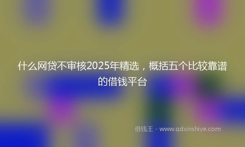 什么网贷不审核2025年精选，概括五个比较靠谱的借钱平台