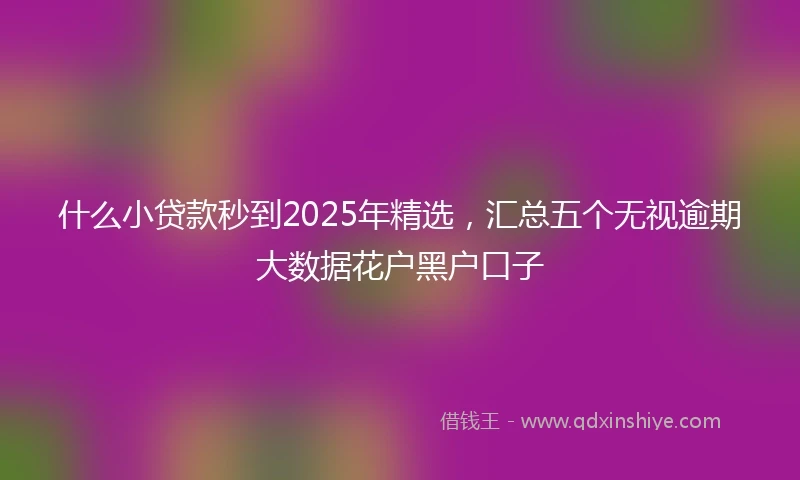 什么小贷款秒到2025年精选，汇总五个无视逾期大数据花户黑户口子