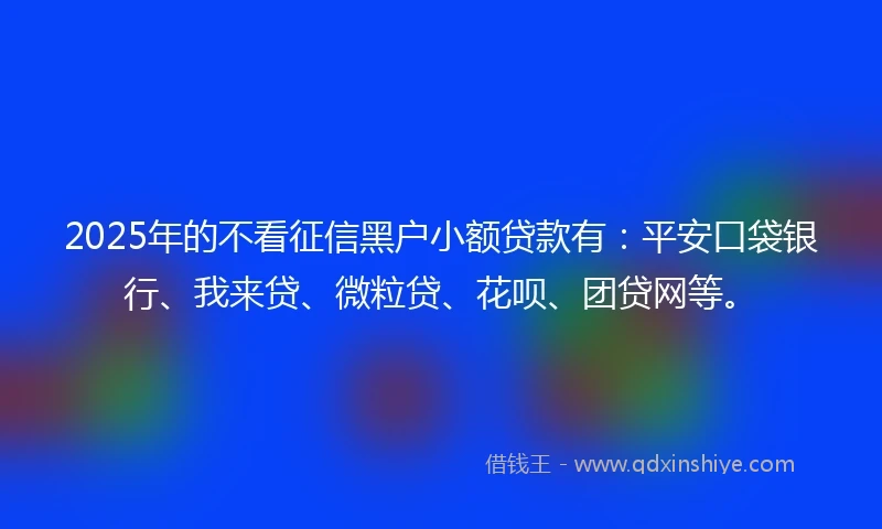 2025年的不看征信黑户小额贷款有：平安口袋银行、我来贷、微粒贷、花呗、团贷网等。
