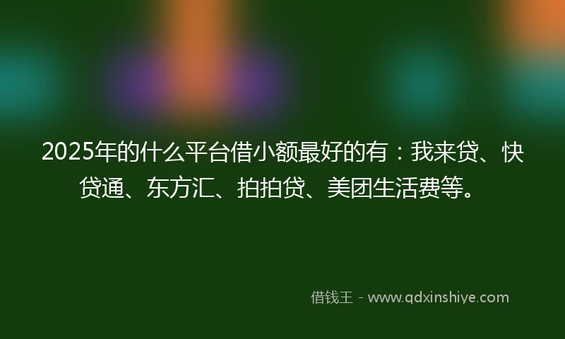 2025年的什么平台借小额最好的有：我来贷、快贷通、东方汇、拍拍贷、美团生活费等。