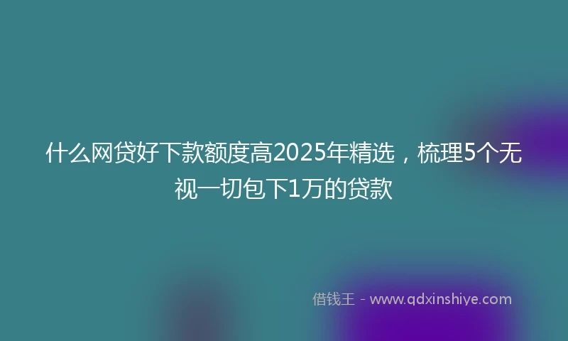 什么网贷好下款额度高2025年精选，梳理5个无视一切包下1万的贷款
