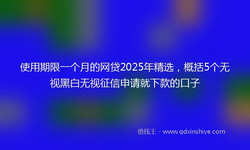使用期限一个月的网贷2025年精选，概括5个无视黑白无视征信申请就下款的口子