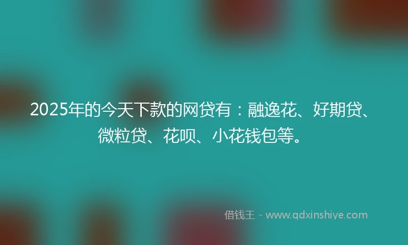 2025年的今天下款的网贷有：融逸花、好期贷、微粒贷、花呗、小花钱包等。
