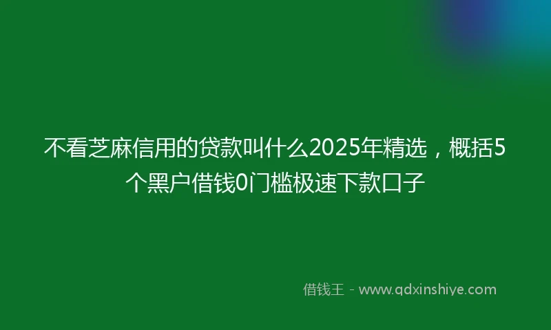 不看芝麻信用的贷款叫什么2025年精选,概括5个黑户借钱0门槛极速下款口子