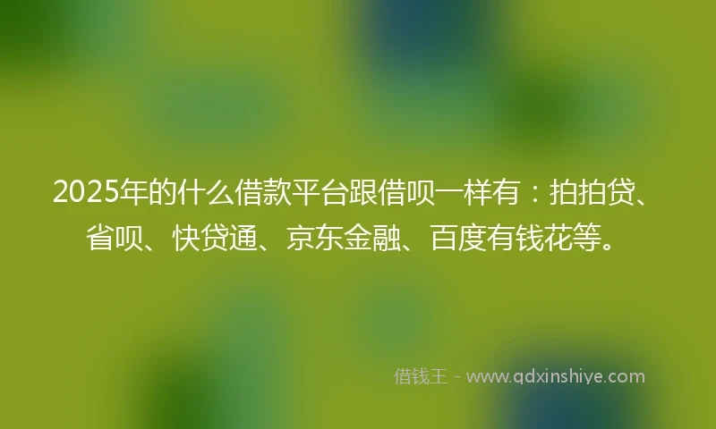 2025年的什么借款平台跟借呗一样有：拍拍贷、省呗、快贷通、京东金融、百度有钱花等。