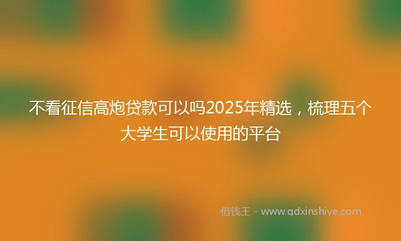 不看征信高炮贷款可以吗2025年精选，梳理五个大学生可以使用的平台