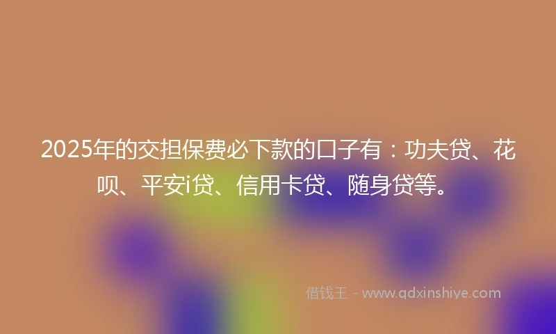 2025年的交担保费必下款的口子有：功夫贷、花呗、平安i贷、信用卡贷、随身贷等。